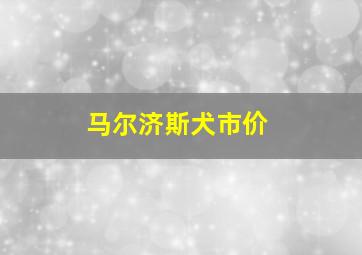 马尔济斯犬市价