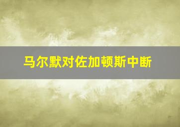 马尔默对佐加顿斯中断