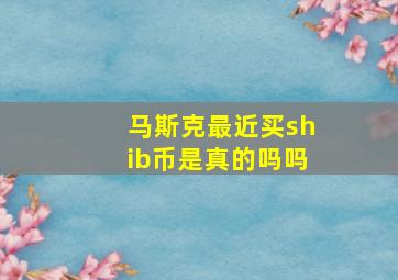 马斯克最近买shib币是真的吗吗