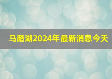 马踏湖2024年最新消息今天