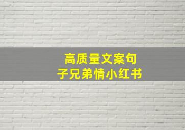 高质量文案句子兄弟情小红书