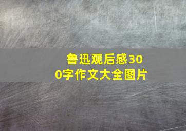 鲁迅观后感300字作文大全图片