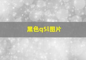 黑色q5l图片