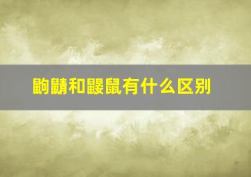 鼩鼱和鼹鼠有什么区别