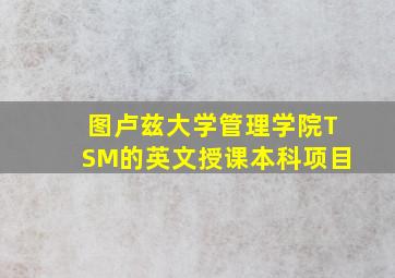 图卢兹大学管理学院TSM的英文授课本科项目