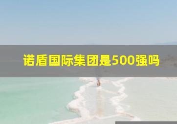 诺盾国际集团是500强吗